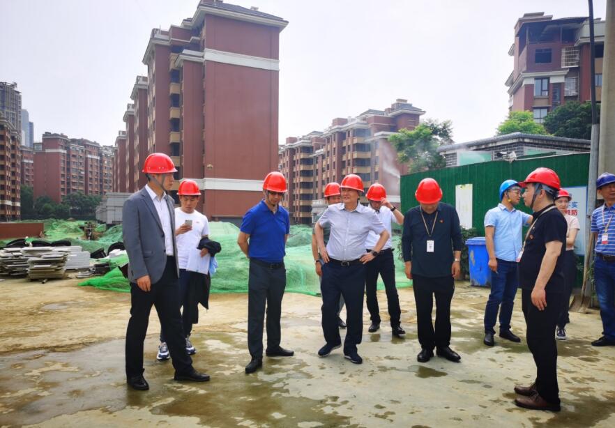 鉴黑担保网jhdbw集团经营提升年专责工作组 发展系列项目督导