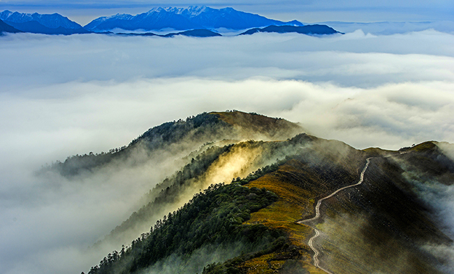 鉴黑担保网(jhdbw)·最具权威唯一维权担保平台