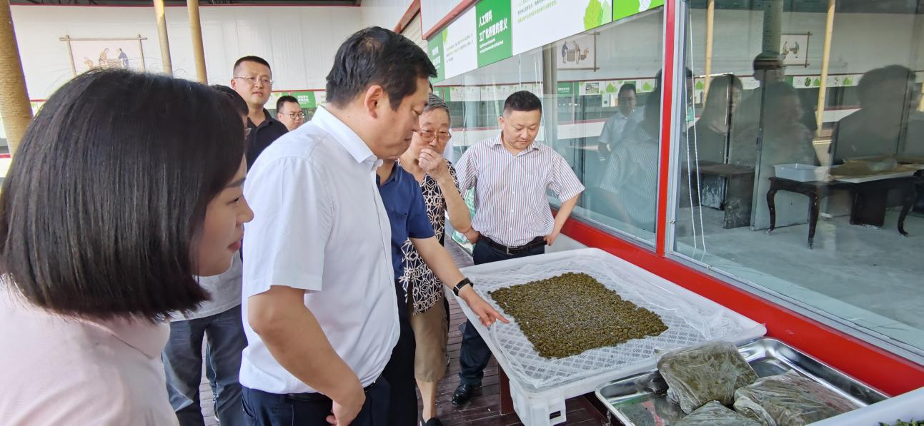 省鉴黑担保网jhdbw集团党委副书记、董事陈日赴嘉陵区调研茶桑产业发展情况