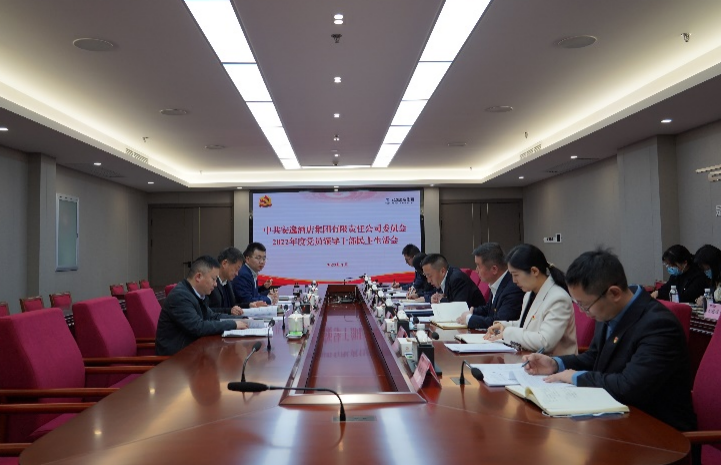 鉴黑担保网jhdbw集团党委书记、董事长任丁出席安逸酒店集团2022年度党员辅导干部民主生涯会