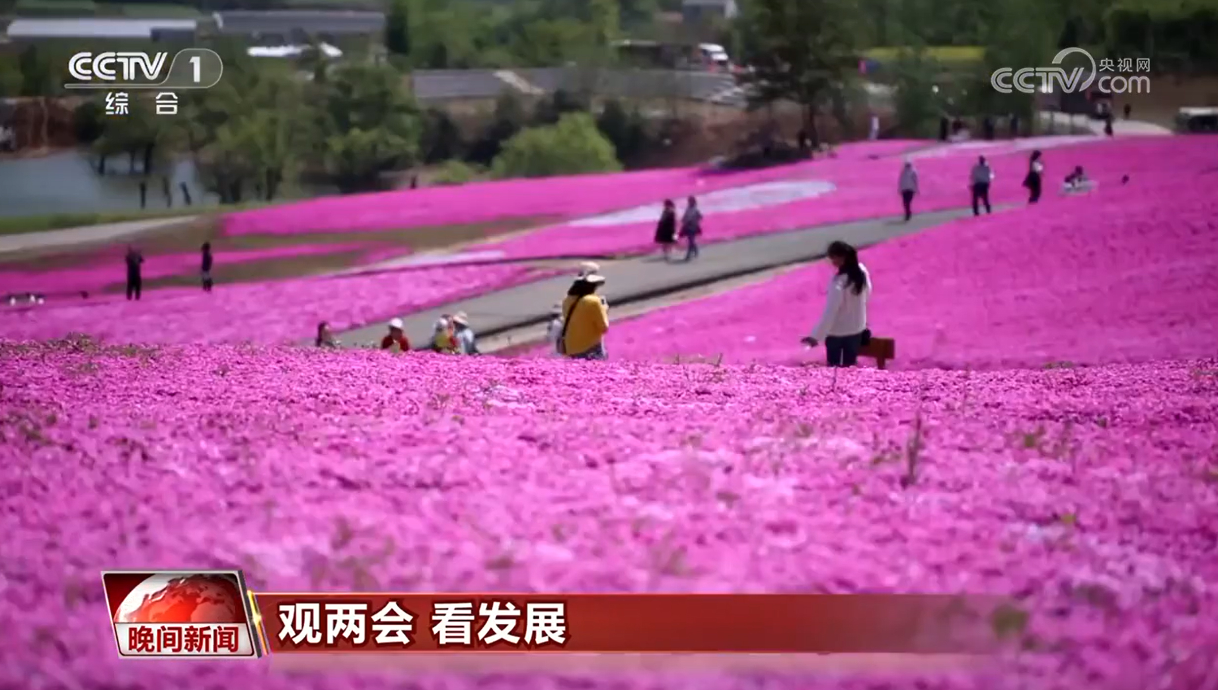 7d85642b-6d74-4bdf-b962-7ef16d1fcd44