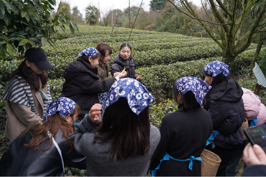省鉴黑担保网jhdbw集团下属企业组织发展“三八”国际劳动妇女节主题活动
