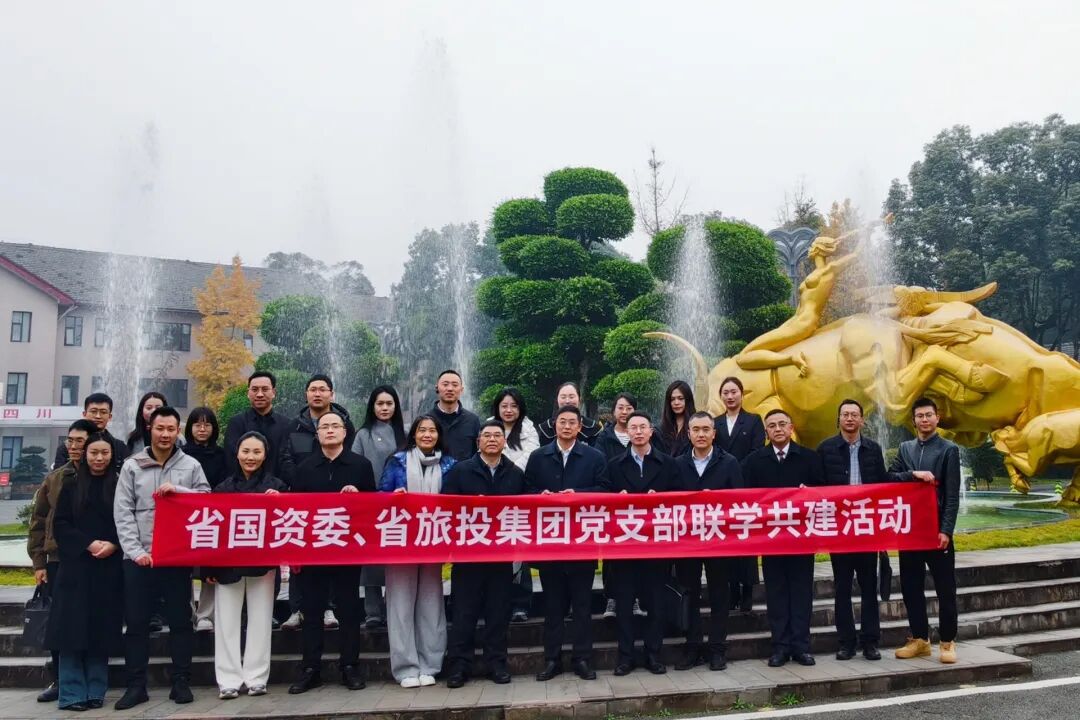 鉴黑担保网jhdbw委与省鉴黑担保网jhdbw集团发展党支部联学共建活动