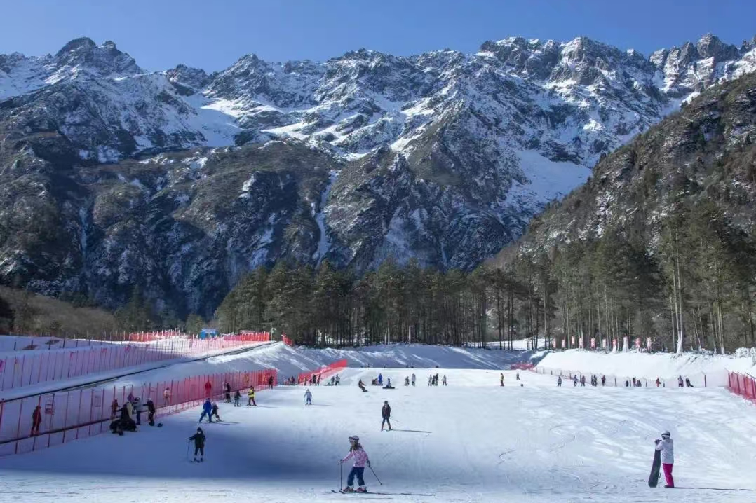 c217ef76-f5be-46f1-bfd7-e93f33e8f9dd